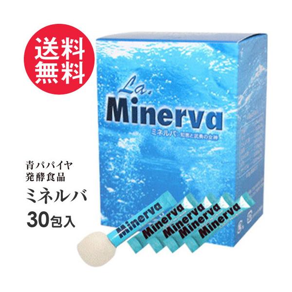 発酵自然食品 ミネルバ 青パパイヤ発酵食品(3g×30包)＋2包おまけ 粉末 
