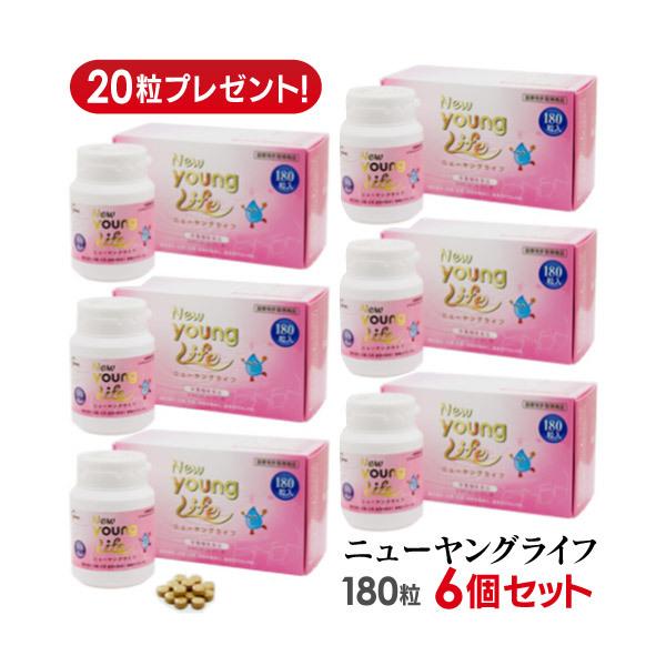 6箱セット 【送料無料】 NEWヤングライフ ECME 低分子ヒアルロン酸 N-アセチルグルコサミンニューヤングライフ 180粒 6個セット+120粒 ECM・E 低分子ヒアルロン酸 健康食品 サプリメント栄養機能食品(ビタミンB1、ビタミ...
