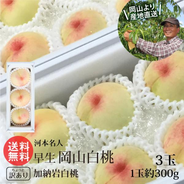 河本農園 早生 岡山白桃 加納岩白桃 3玉 少し 訳あり 白桃 岡山