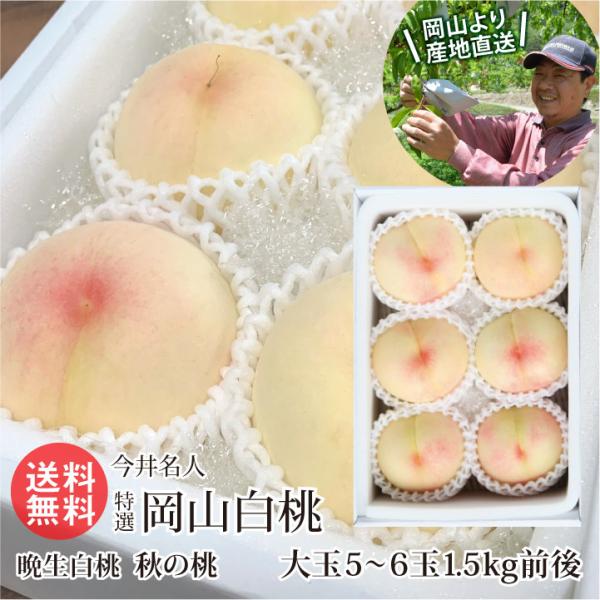 岡山の白桃(6)白露　黄金桃　8玉　2.5キロ　藤井農園　9/4収穫　進物可能 岡山の白桃(5)白露 黄金桃 8玉 2.5キロ 藤井農園 9/4収穫
