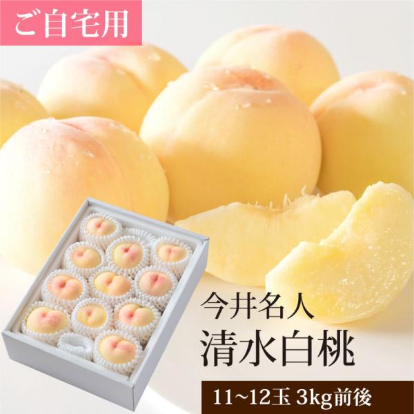 ご自宅用 清水白桃 11〜12玉 3kg前後 白桃 今井名人 岡山 訳あり B品