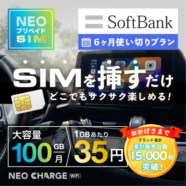 送料なし 501hw 月間100ギガ大容量プラン SoftBank回線】大容量100GB 6ヶ月使い切りプラン 契約不要 月額0円