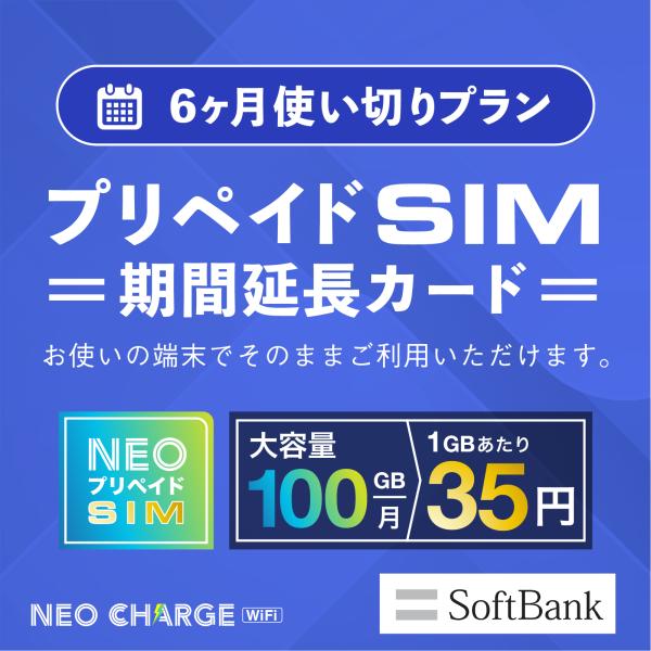 ネオプリペイドSIM利用者専用】6ヶ月使い切りプラン 期間延長カード