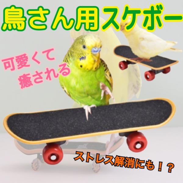 ★ご覧いただきありがとうございます★インコや文鳥、オウムなどの小中型の鳥向けスケートボートのオモチャになります遊びを通してストレス解消にも繋がります！表面はざらっとした触感の滑り止めになっており、他にもハムスターや小鳥のケージ内オブジェにも...