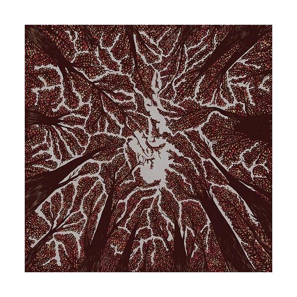 [CD]/TRASH BOAT/Crown Shyness