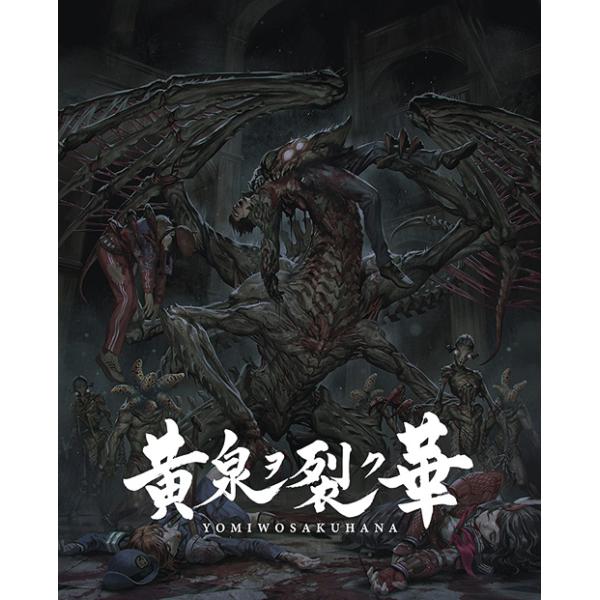 �y���������z[Nintendo Switch]/�Q�[��/���򃒗�N�� EXPERIENCE SELECTION