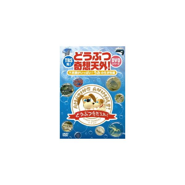TBS発！「どうぶつ奇想天外！」DVDシリーズ 不思議がいっぱい！うみの生き物編/(バラエティ)