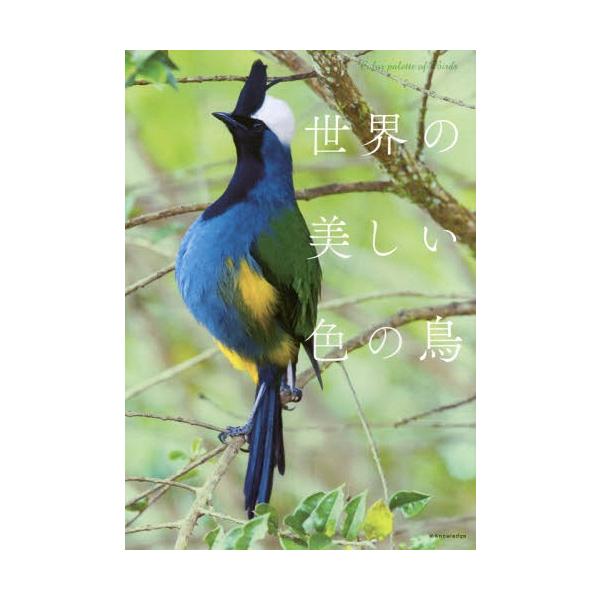 世界の美しい色の鳥