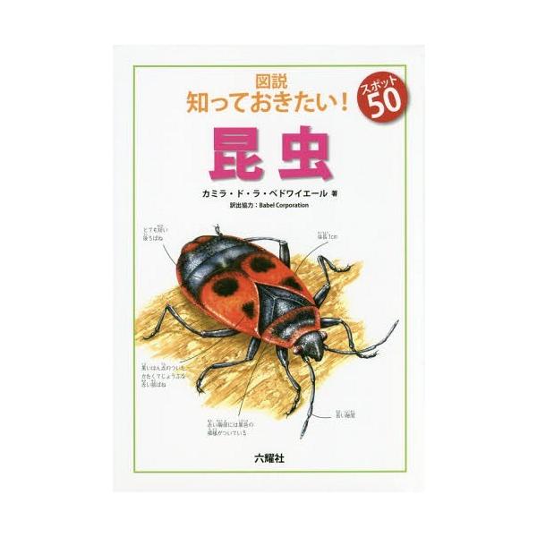 [Release date: July 24, 2016]カミラ・ド・ラ・ベドワイエール/著 BabelCorporation/訳出協力/図説知っておきたい!スポット50昆虫 / 原タイトル:Insects (Rikuyosha Child...