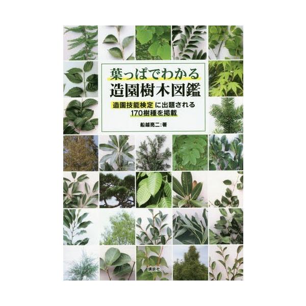 葉っぱでわかる造園樹木図鑑 造園技能検定に出題される170樹種を掲載/船越亮二