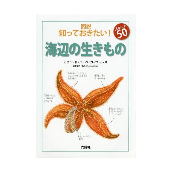 [Release date: April 20, 2017]カミラ・ド・ラ・ベドワイエール/著 BabelCorporation/訳出協力/図説知っておきたい!スポット50海辺の生きもの / 原タイトル:Seashore (Rikuyosh...