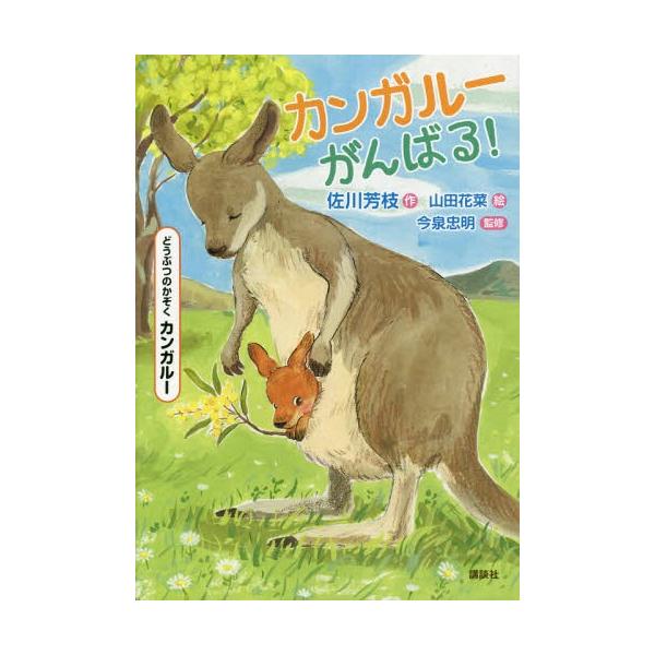 [Release date: January 24, 2019]佐川芳枝/作 山田花菜/絵/カンガルーがんばる! どうぶつのかぞくカンガルー (シリーズどうぶつのかぞく)、メディア：BOOK、発売日：2019/01、重量：340g、商品コー...