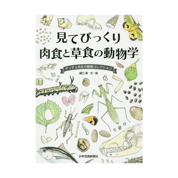 [本/雑誌]/見てびっくり肉食と草食の動物学 ゲッチョ先生の動物コレクション/盛口満/文・絵