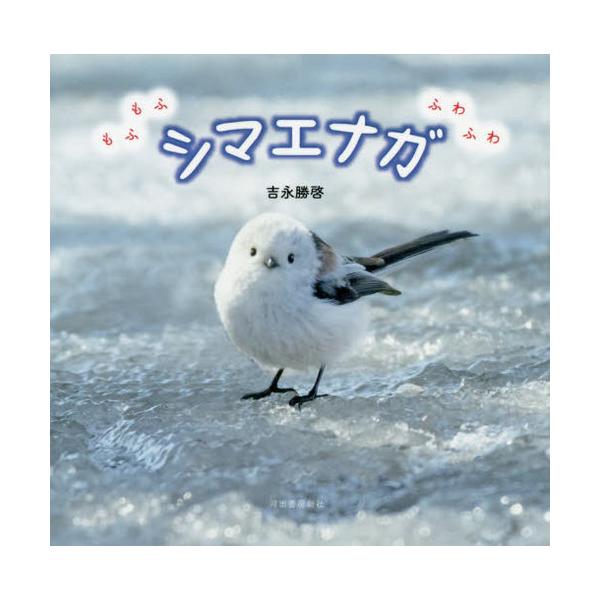 【匿名配送】もふもふシマエナガ 冬のシマさん😊 #シマエナガ #longtailedtit #wildbird #bird