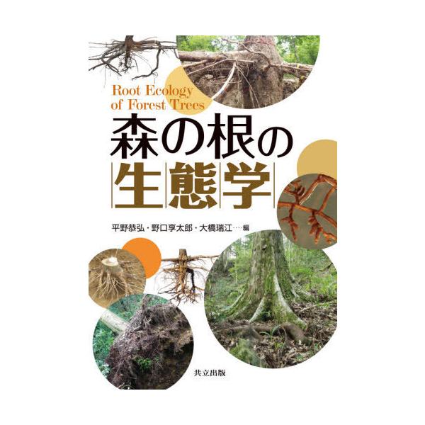 森の根の生態学 / 平野恭弘  〔本〕