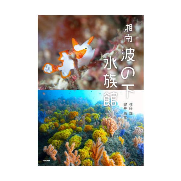 [本/雑誌]/湘南波の下水族館/佐藤輝/著 鍵井靖章/著 工藤孝浩/監修