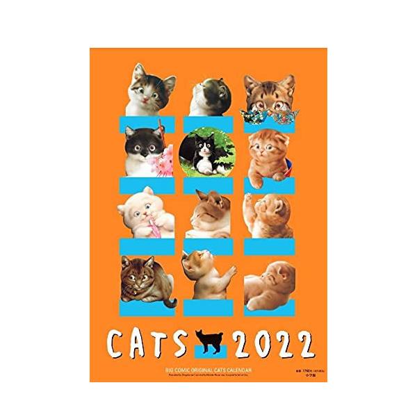 猫 カレンダー 本 雑誌の人気商品 通販 価格比較 価格 Com