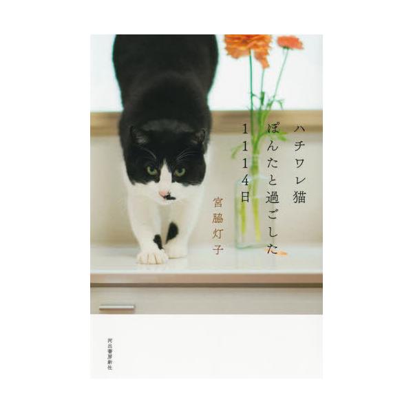 [本/雑誌]/ハチワレ猫ぽんたと過ごした1114日/宮脇灯子/著