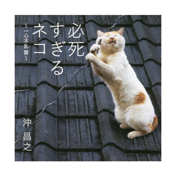[本/雑誌]/必死すぎるネコ 一心不乱篇/沖昌之/著