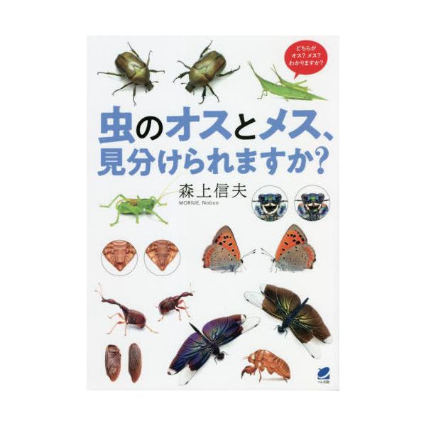 虫のオスとメス、見分けられますか？/森上信夫