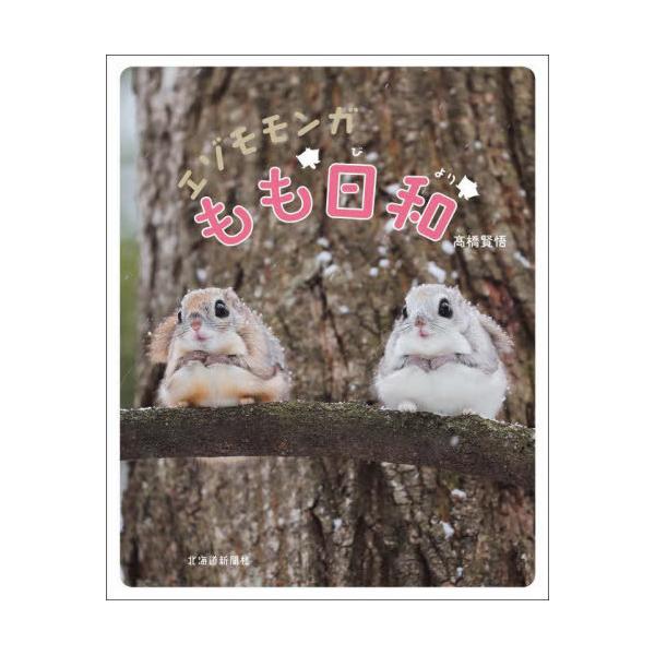 [本/雑誌]/エゾモモンガ もも日和/高橋賢悟/著
