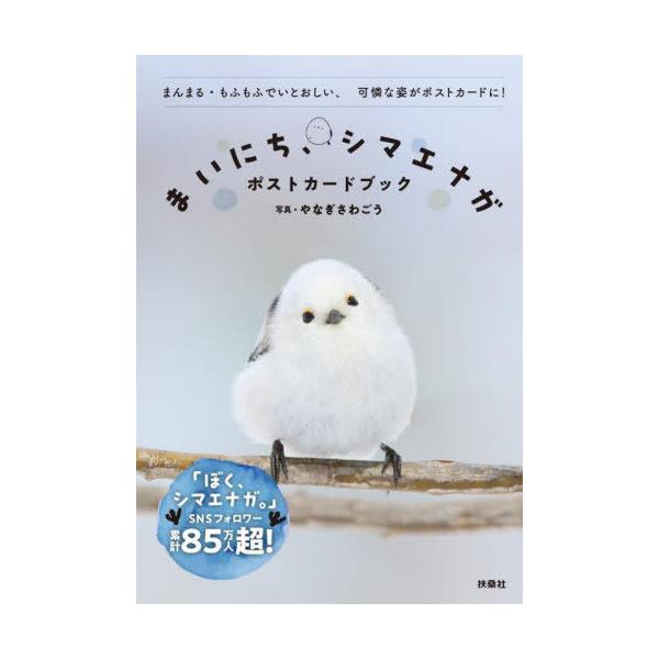 やなぎさわごう まいにち、シマエナガ ポストカードブック Book