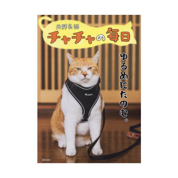 [本/雑誌]/元野良猫チャチャの毎日/元野良猫チャチャ/著