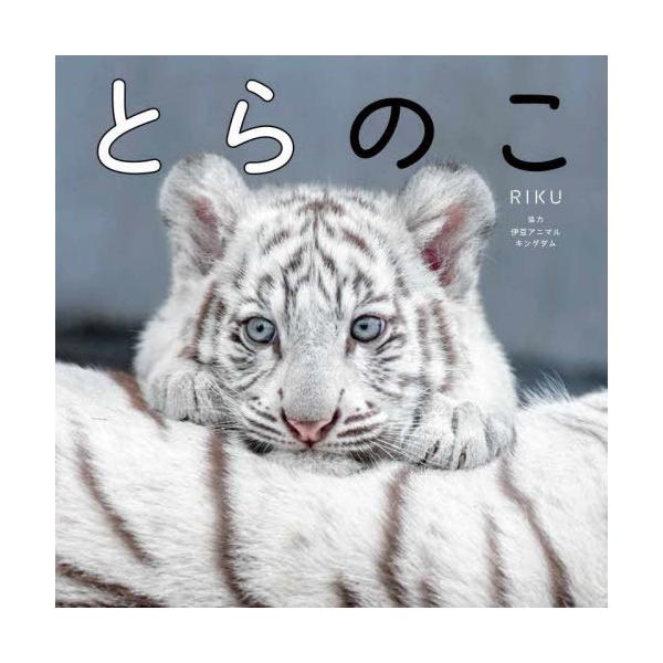 RIKU とらのこ Book