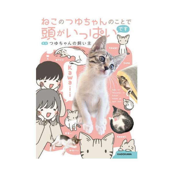 [本/雑誌]/ねこのつゆちゃんのことで頭がいっぱいです/つゆちゃんの飼い主/著