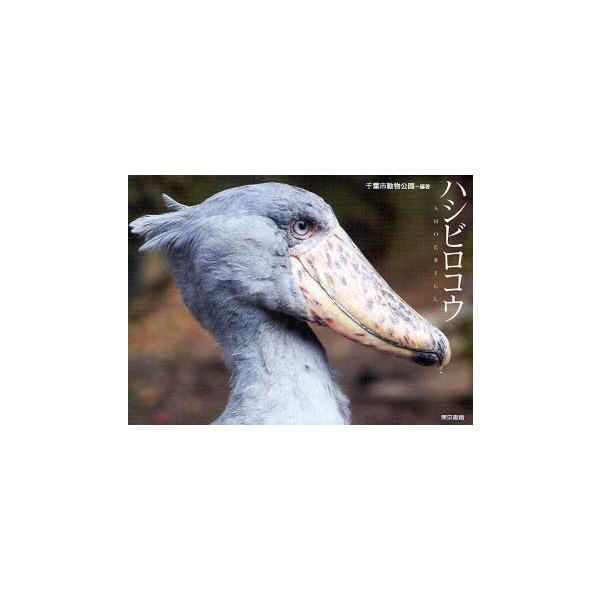 [本/雑誌]/ハシビロコウ/千葉市動物公園(単行本・ムック)