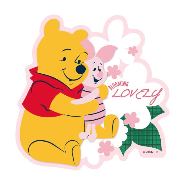 2021/01 [ObY]/܂̃v[ _CJbgXebJ[ ByCbNz