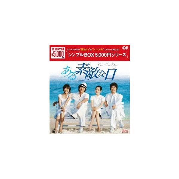 【送料無料】[DVD]/TVドラマ/ある素敵な日 DVD-BOX