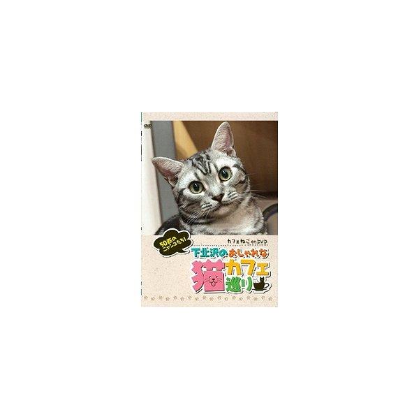 Dvd 送料無料選択可 趣味教養 カフェねこondvd 下北沢 おしゃれな猫カフェ巡り Buyee Buyee Japanese Proxy Service Buy From Japan Bot Online