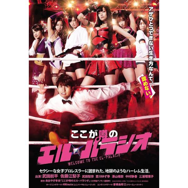 【送料無料】[DVD]/TVドラマ/ここが噂のエル・パラシオ DVD-BOX