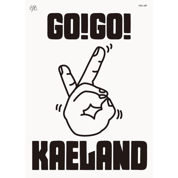 【送料無料】[Blu-ray]/木村カエラ/KAELA presents GO! GO! KAELAND 2024 -20years anniversary-