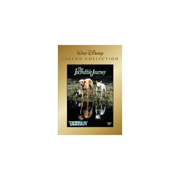 【送料無料】[DVD]/洋画/三匹荒野を行く