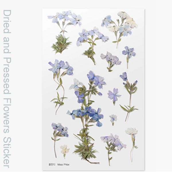 ( ドライフラワー風 ステッカー ) シバザクラ 押し花スタイルステッカー  【 商用利用可 】メール便（ゆうパケット）なら30個まで可能 +素材 :   PET、PAPER　本物のドライフラワーではありません+SIZE :   9.4cm...