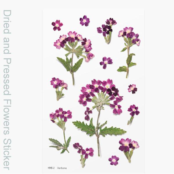 ( ドライフラワー風 ステッカー ) バーベナ 押し花スタイルステッカー  【 商用利用可 】メール便（ゆうパケット）なら30個まで可能 +素材 :   PET、PAPER　本物のドライフラワーではありません+SIZE :   9.4cm ...