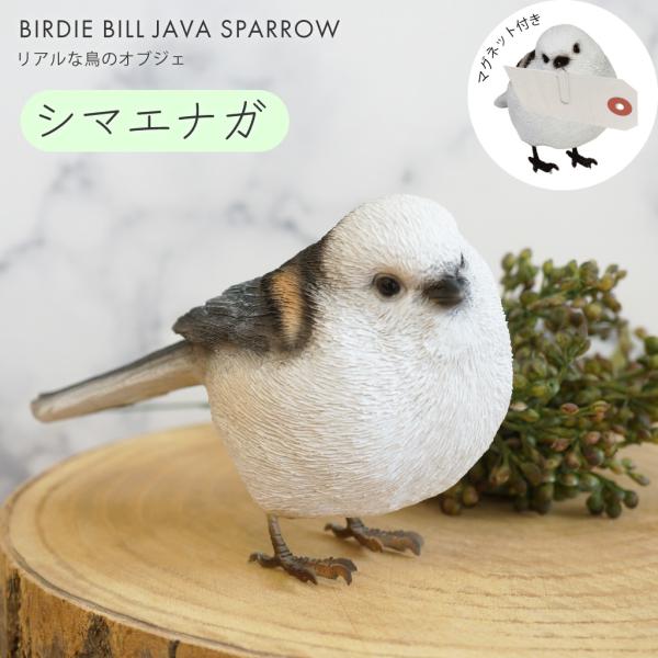 トリ　鳥　ハト　貯金箱　オブジェ　置物　インテリア　工芸品　美術品　A2678 magnet シマエナガ オブジェ 置物 貯金箱 鳥 トリ インテリア