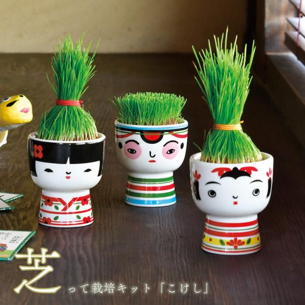 栽培キット 芝 こけし KOKESHI おかっぱ おちょぼ ぼうず 植物 グリーン スターターセット インテリア 雑貨 ギフト プレゼント 男性 女性 誕生日 ラッピング対応