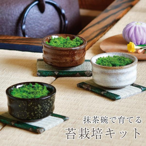 栽培キット 苔 スナゴケ 植物 抹茶椀 陶器 コケ グリーン スターターセット 雑貨 ギフト プレゼント 男性 女性 父の日 母の日 敬老の日 誕生日