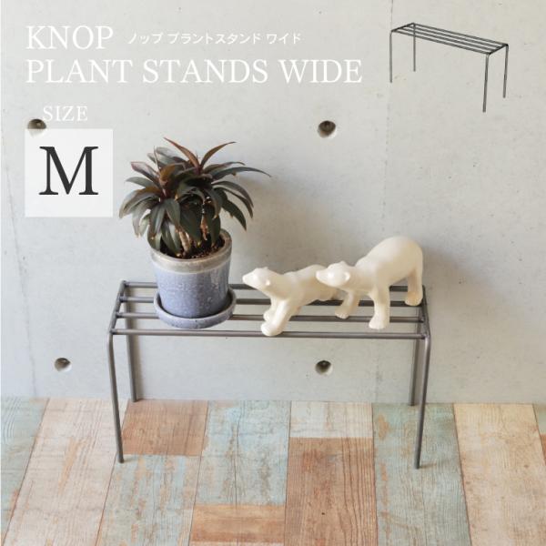 nestbeauty_knopwidem
