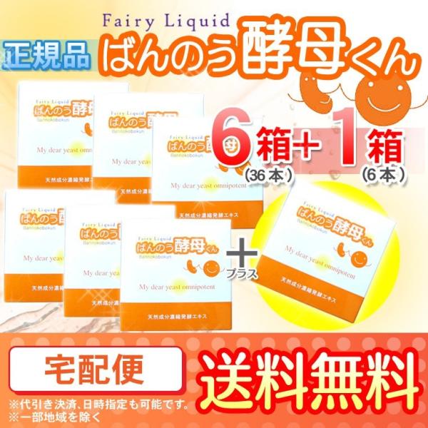 nestbeauty_kobokun-6cs