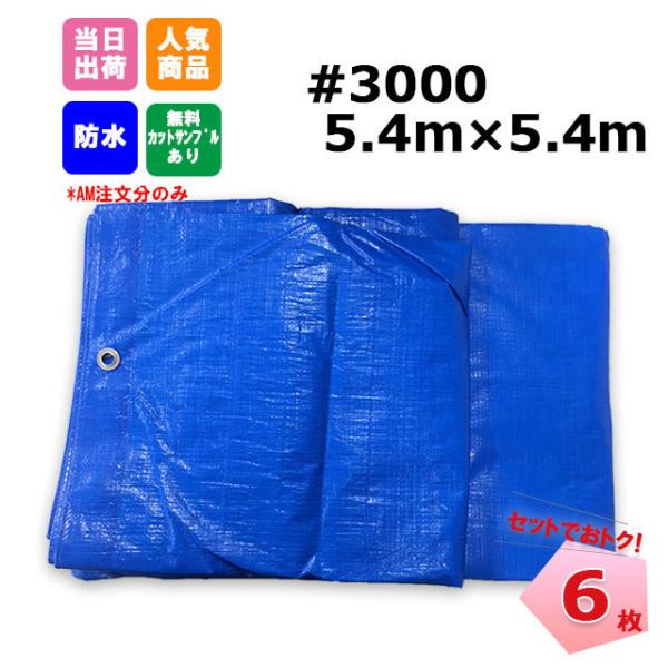 商品名 ブルーシート 厚手 #3000サイズ 5.4m×5.4m仕上がり寸法5.2m×5.3m入数 6枚・厚手で耐久性に優れた＃3000番手・養生や目隠し、雨・風からの保護によく使われます。・引っ越しや災害時などにも重宝します○注意○呼び寸...