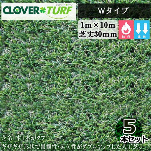 クローバーターフ Wタイプ CTW30 5本 セット PAEグローバル 芝丈