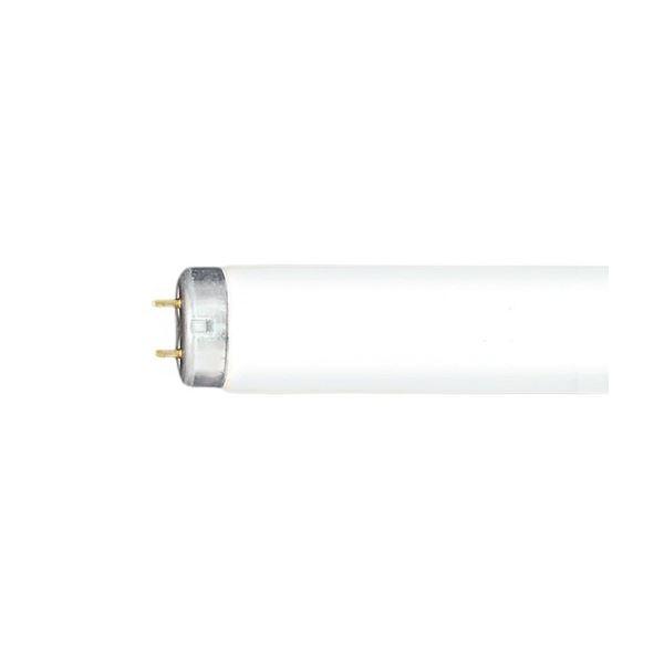 蛍光灯　20W型　42本　グロースタート形NEC FL20SSEX-N/18-X n-fl20ssexn18x2.jpg