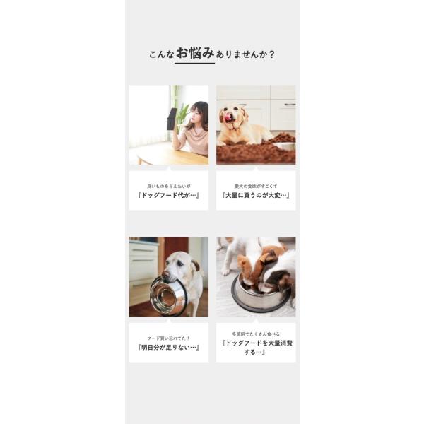 INUMESHI バリュー 15kg ブリーダーパック 成犬・高齢犬用 全犬種用 /【Buyee】 INUMESHI バリュー 15kg ブリーダーパック 成犬・高齢犬用 全犬種用 /【Buyee】