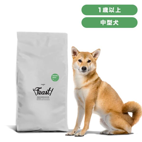 INUMESHI　フィースト　ドックフード(成犬・高齢犬用 ) 15kg 2袋 INUMESHI フィースト 1歳以上 中型犬用 15kg ブリーダーパック
