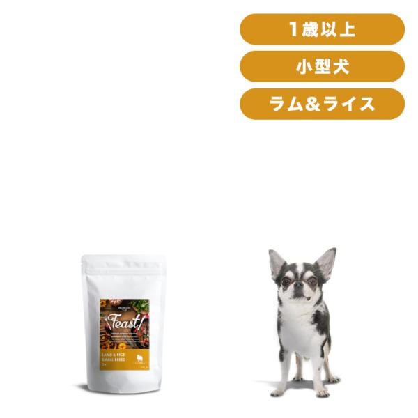 INUMESHI フィースト ラムライス 1歳以上 小型犬用 1kg :PB-009-1:INUMESHI ヤフーショッピング店 通販  