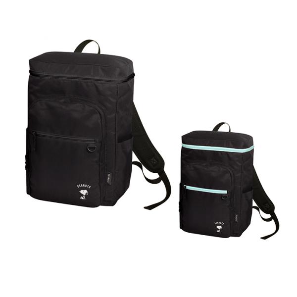 ピーナッツです！ SNOOPY スヌーピー BOX型デイパック 25L 12580 : シブヤ文具